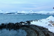 Sea And Snowy Mountains