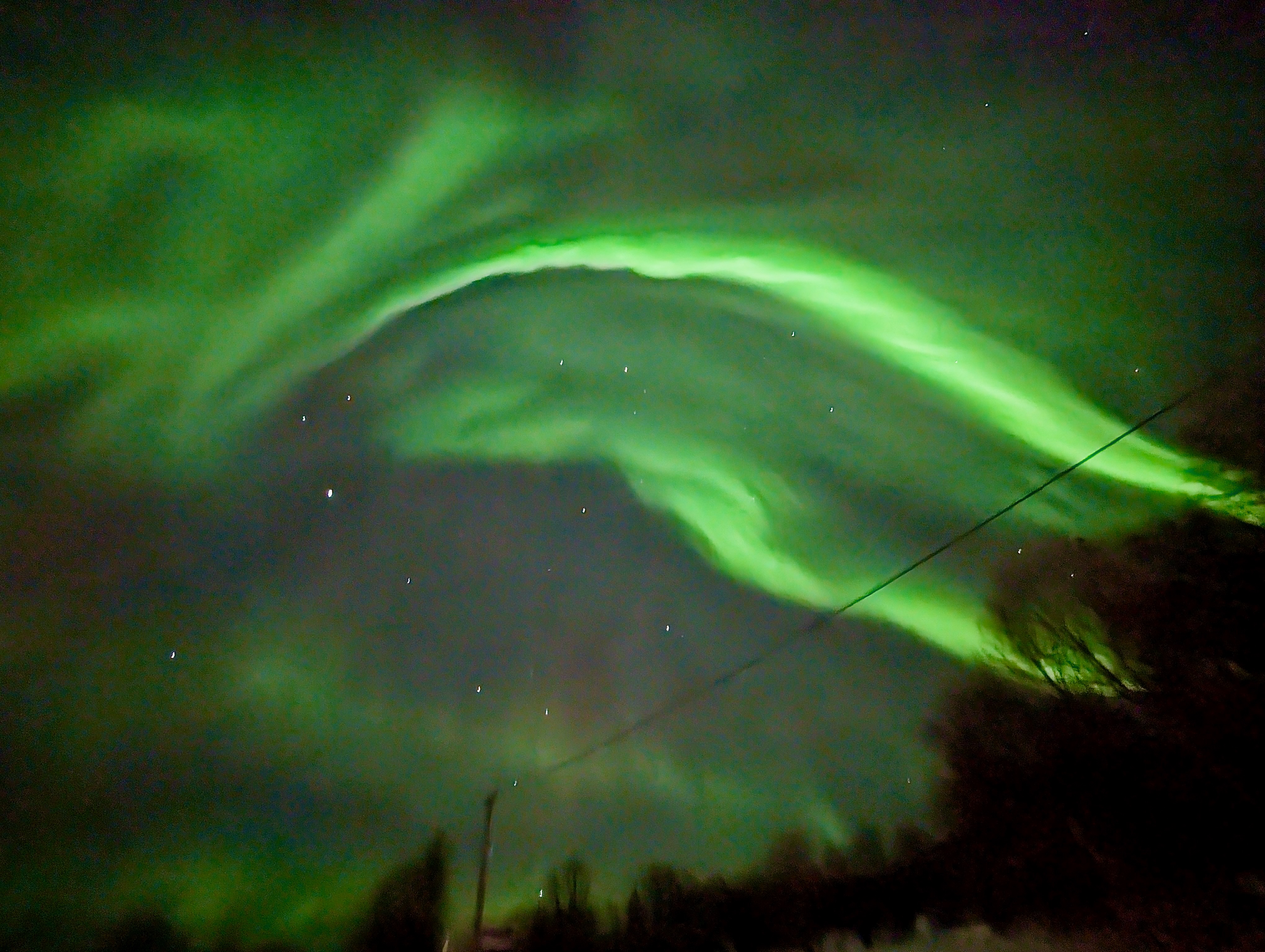 Roadside Aurora With Trees