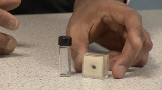 Mars Meteorite