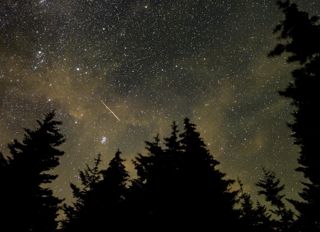 Perseid