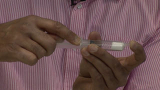 Syringe Marsh