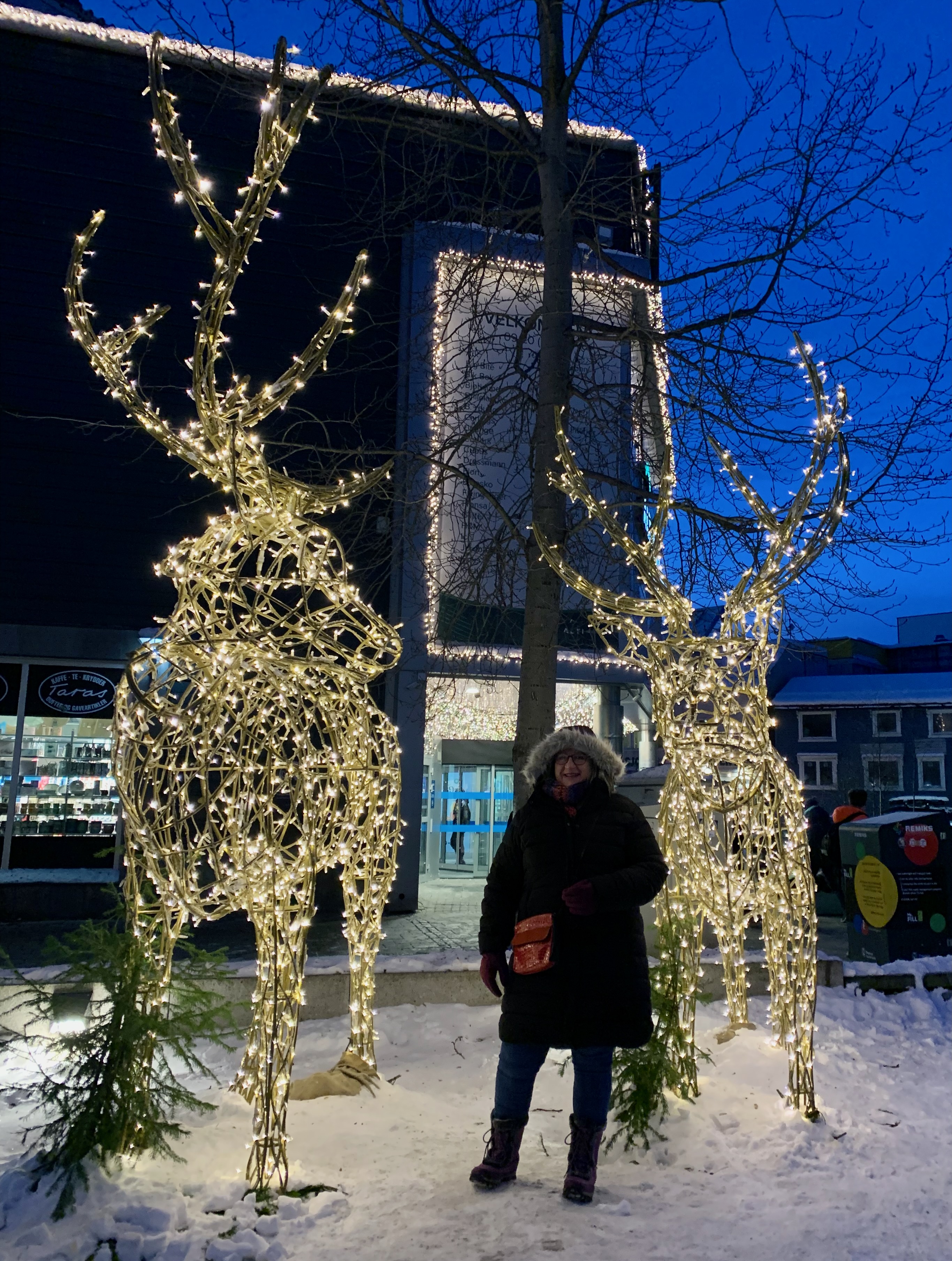 Sarah And Sparkly Reindeer