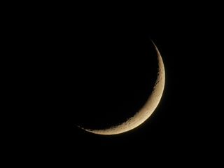 Nousnou Iwasaki Dc3yquyr2pu Unsplash