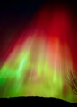 Red Green Shower From Wide Radiant